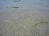  Flaches Meer